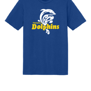Tee Shirt Youth Short Sleeve Perfect Tri Tee by District DT130Y - Hampton Dolphins