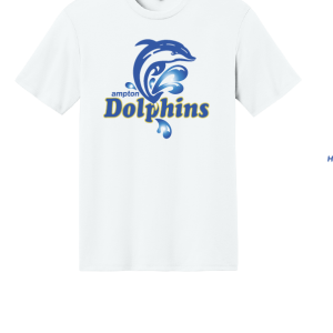 Tee Shirt Unisex Short Sleeve Perfect Tri Tee by District DM130 - Hampton Dolphins