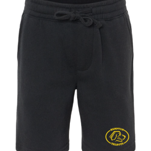 Shorts Youth Lightweight Special Blend Fleece by Independent Trading Co. PRM16SRT - Hampton Central